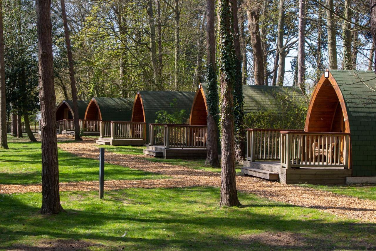Pinewood - At Port Lympne Reserve Hythe  Kültér fotó